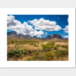 Big Bend National Park Sign Posters and Art